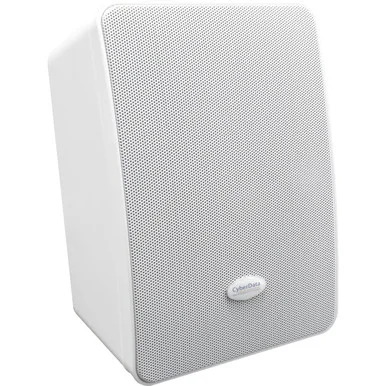 CuberData 011505 InformaCast Enabled Wall Mount Speaker PoE - Cyberdata