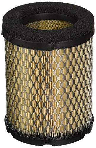 Cummins 1403295 Onan Air Filter