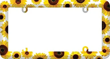 Cruiser 23804 License Plate Frame - Bold Graphics