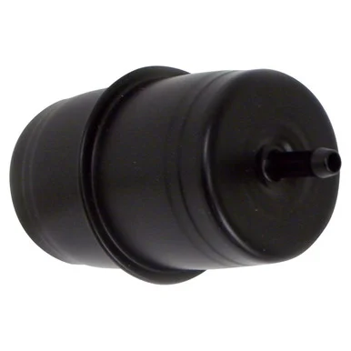 Crown Automotive Jeep Replacement Fuel Filter 33000076