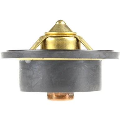 Moto Rad 423195 Thermostat