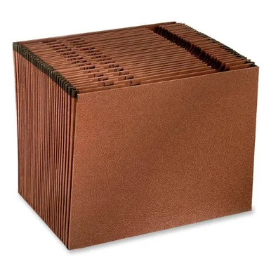Esselte Recycled Daily Expanding File - Letter - 8.50" X 11" - 31 Pockets - Red Fiber - Red Fiber - 1 Each (ER17D)