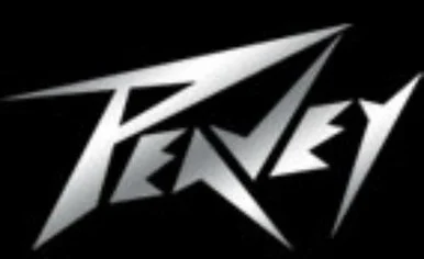 Peavey DX14 High Freq.drivers