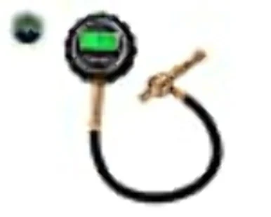 Overland Vehicle Systems 12010001 Digital Tire Gauge with Valve Kit