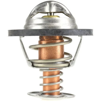 Moto Rad 243195 Thermostat