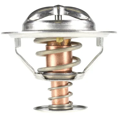 Moto Rad 302170 Thermostat