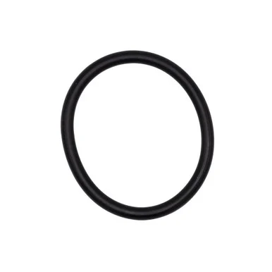 Johnson P umps 50512PK Motor Cartridge Housing O-Ring