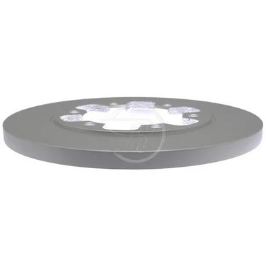 Raybestos 681790 Disc Brake Rotors