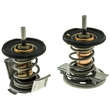 Moto Rad 716200 Thermostat