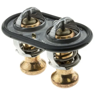 Moto Rad 717200 Thermostat