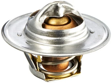Moto Rad 7200195 Thermostat