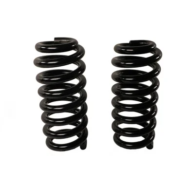 MOOG 81773 Coil Spring Set for Dodge Durango
