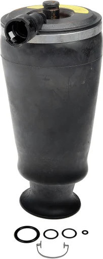 Dorman 949250 Air Spring