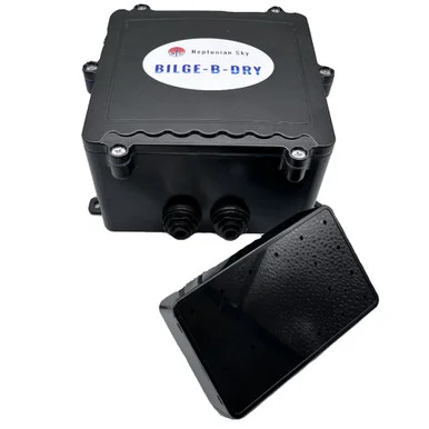 Bilgebdry BBD-2013-001 Bilge-b-dry Single Pump - 12vdc