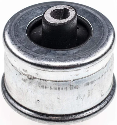Dorman BC21019PR Control Arm Bushing Kit