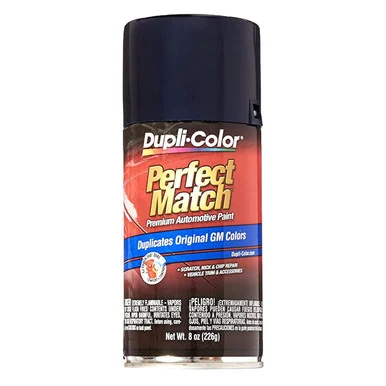 Krylon BGM0505 Perfect Match Paint