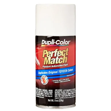 Krylon BTY1578 Perfect Match Paint