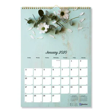 Rediform C173122 Romantic Wall Calendar, Floral Photography, 12 X 17, White/multicolor Sheets, 12-month (jan To Dec): 2026
