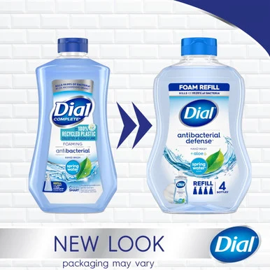 Dial Dial Complete Foaming Hand Wash (dia-35087)