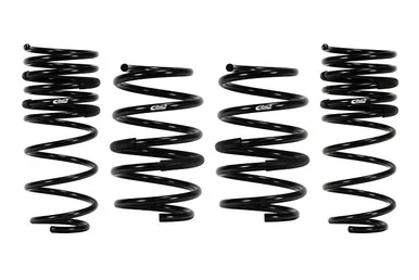Eibach E10230310122 Performance Spring Set