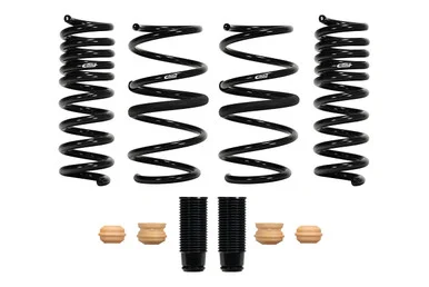 Eibach E10820890122 Performance Spring Set