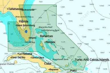 Cmap M-NA-D943-MS 4d, Florida & The Bahamas