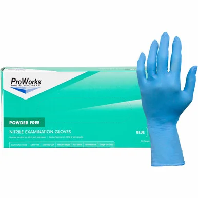 ProWorks Nitrile Exam Gloves (n108epfxlg) - Hospital Specialty