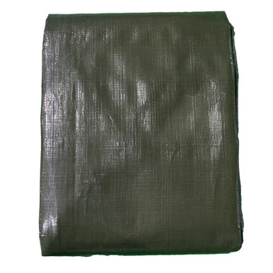 Roadpro RPHDTP1024 Heavy-duty Tarp Rphdtp102 10mil 10ft X 12ft Cover Uv-resistant Tear-resistant Reinforced Corners Canvas For Cargo Camping Landscaping Green