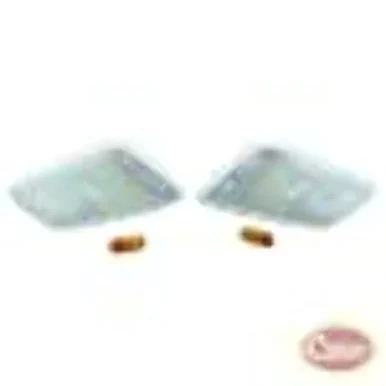 Crown Automotive RT28017 Side Marker Light Kit