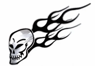 Prostripe T1952 Trimbrite Steel Effects Skull