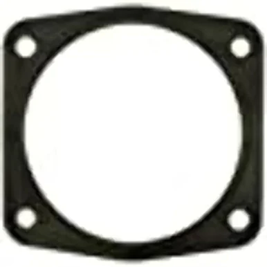 Standard TBG144 Throttle Body Injection Flange Gask