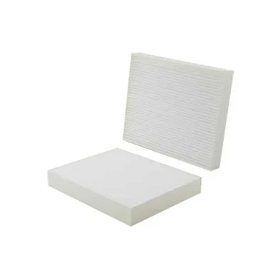 Wix Filters WP10019 Air Filter